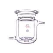 Jacketed Reaction Vessel